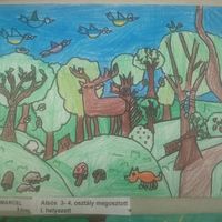 Bodacz Zsolt的照片