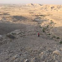 Sally Mohamed's Photo