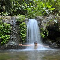 randi saksono的照片