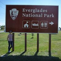 Kim DiGiovanni's Photo