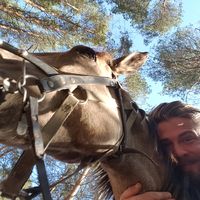 Roman Shevchenko's Photo