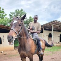 Joseph  Noellard的照片