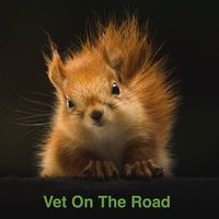 Maarten Rathe的照片