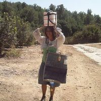 Aya Sternbach的照片