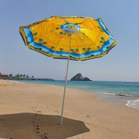 Aimee Murphy的照片