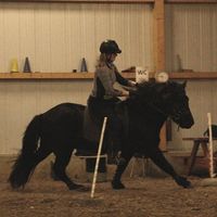 Zdjęcia użytkownika Sofie