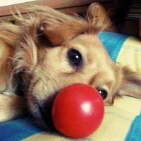 Elvi Salazar's Photo