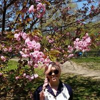 Fotos de Lucy Nichol