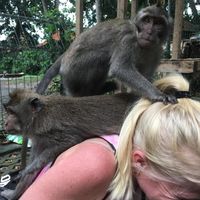 MONET Sophie's Photo