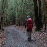 Szabolcs Madarasz的照片