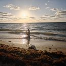 Meditación 's picture