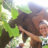 Taylor Fiebelkorn的照片