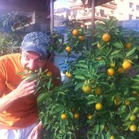 Gennady Alekseenko的照片