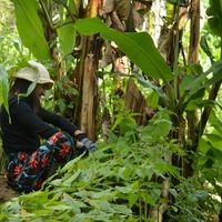 Angie Natalia Ramirez Hernandez's Photo