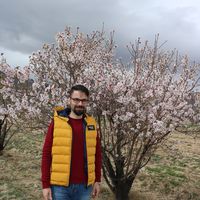 Mahdi Rezapour的照片