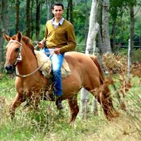 Daniel Dos Santos的照片