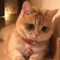 Ayoosha Ahmad's Photo