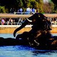 linnky  almara's Photo