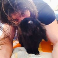 Ruddy Visinoni's Photo