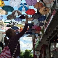 Delfina Morawska的照片