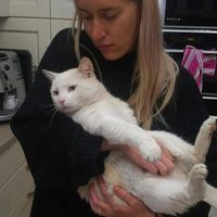 Photos de Dorottya D. Nagy