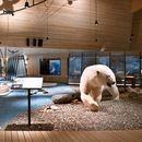 Let's Explore The SVALBARD  Museum 's picture