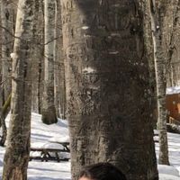 Le foto di Ahmet Alıcı