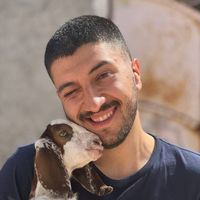 Ali Zaringhalam's Photo