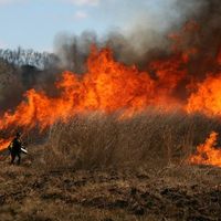 Le foto di Leta Schoeller