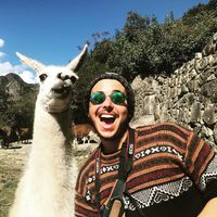 Vinicius Cunha Zanatta's Photo