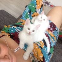 Fotos von Ilksen  Sarikaya