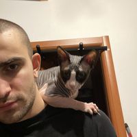 Giacomo Zanoni's Photo