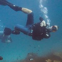 Kari Karvonen的照片