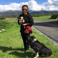 Hermi Honggo的照片