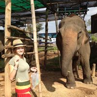 Fotos de Roxanne Godard