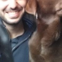 Фотографии пользователя Mert Can