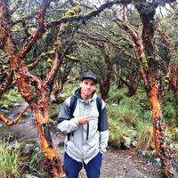 Fotos de Rami Angeli