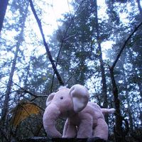 Gregoire Gauthiez's Photo