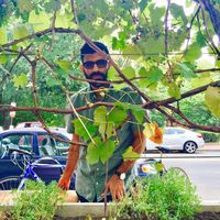 Фотографии пользователя Keyvan Shafiei