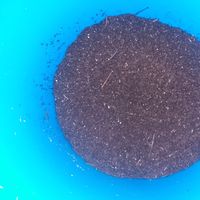 Kyle  Bagley的照片