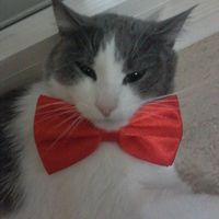 Giada JosVee的照片