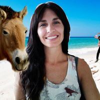 Ines España的照片