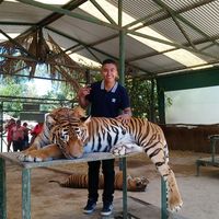 Kevin Castillo's Photo