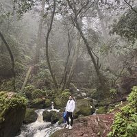 Abhishek Singh's Photo