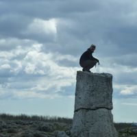 Фотографии пользователя Roman Koeppli