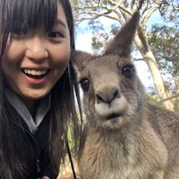 SIN TING LEE's Photo