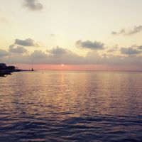 Bayan eftekhar's Photo