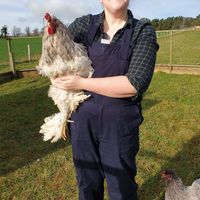 Sasha Brownlee's Photo