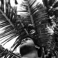 Alan Clifford的照片