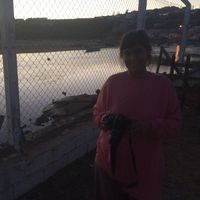 Lola Parra Trillo的照片